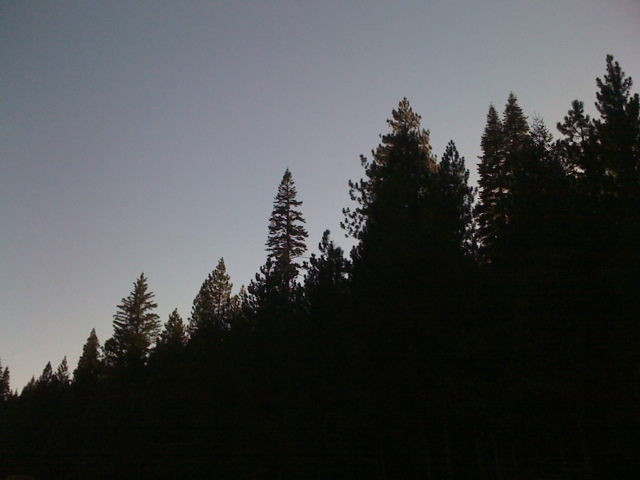 20110825-061539.jpg