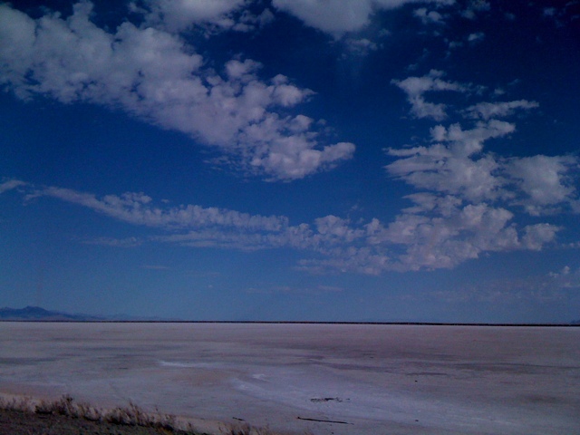 20110825-091453.jpg