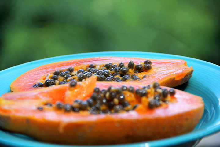 best papaya ever