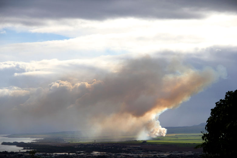 sugar cane burn