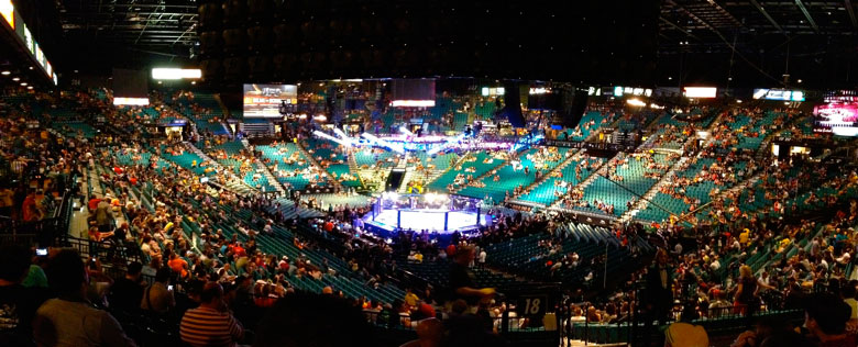 UFC 148